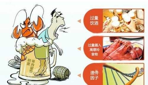 痛风病人得小心这五大类食物